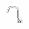 Swan neck extended spout